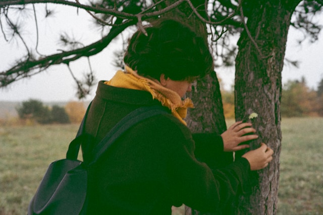 Person placing a flower on a tree trunk in a meadow.